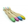 Brosses à dents magnétiques Juvelys