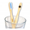 Brosses à dents magnétiques Juvelys