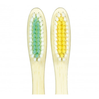 Brosses à dents magnétiques Juvelys