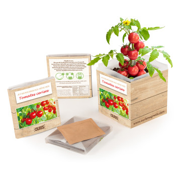Offert Kit tomate cerise