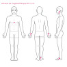 Therapeutic magnets diameter 11 and 15 mm - Auris
