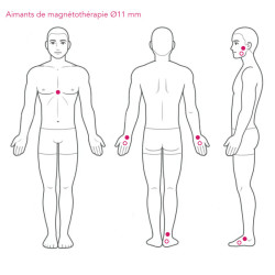 Eco Therapeutic Magnets Ø11 Pain Relief