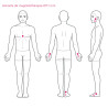 Eco Therapeutic Magnets Ø11 Pain Relief