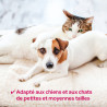 Magnetic feeding mat for animals