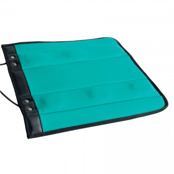 Therapeutic mat for pulsed...
