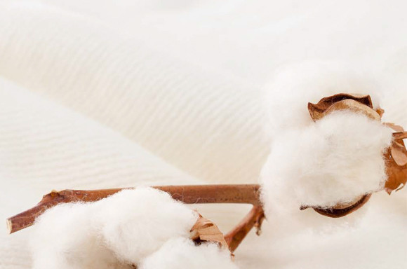 Confort articulaire gamme coton bio