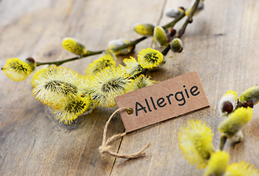 Rhume des foins : comprendre et gérer les allergies saisonnières, le guide complet